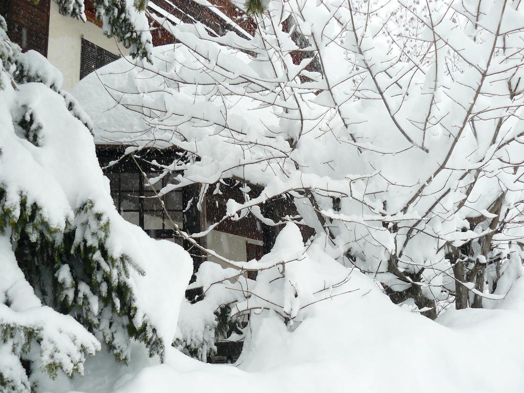 Residence Felik Gressoney-la-Trinité Kültér fotó